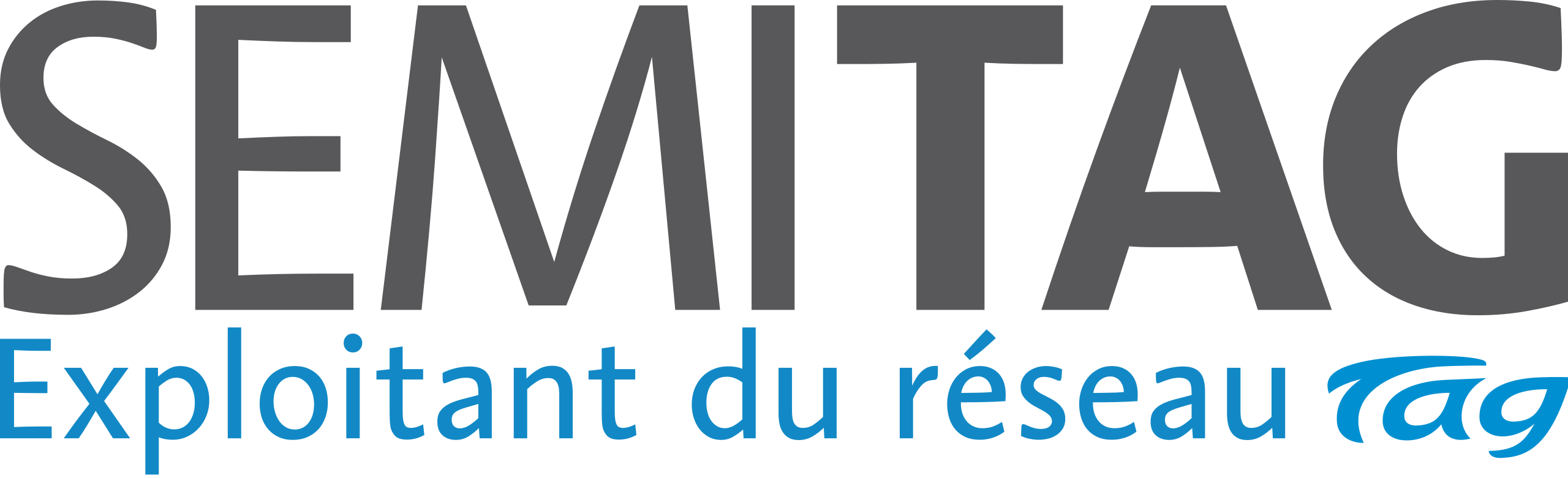 SEMITAG Cas Client - Micropole Cabinet de conseil Data Cloud Digital