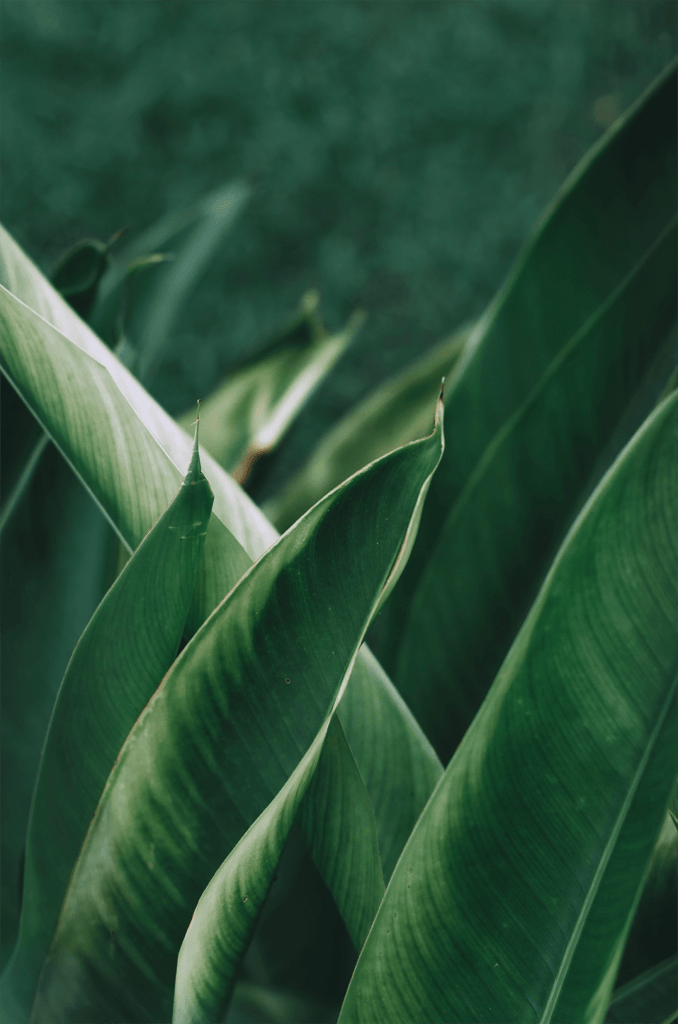 Personnalisez l’expérience d’achat de votre clientèle grâce au Product Experience Management